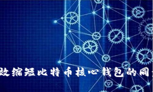 如何有效缩短比特币核心钱包的同步时间?