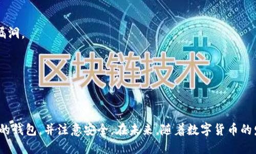 在国内，有许多区块链钱包可供用户使用，尽管政策法规有所限制，但依然有一些钱包在功能和用户体验上表现出色。这些钱包主要分为热钱包和冷钱包，热钱包是在线钱包，便于交易和使用；冷钱包则是离线存储，更加安全。

### 热钱包

#### 1. 易钱包
易钱包是一款国内比较知名的热钱包，支持多种数字货币的存储和交易。易钱包的用户界面友好，功能齐全，适合新手使用。

#### 2. 火币钱包
火币钱包是火币网推出的数字货币钱包，拥有安全性高、交易便捷等优点，用户可以在钱包内直接进行数字货币的买卖。

### 冷钱包

#### 1. Ledger Nano S
虽然不是国内品牌，但Ledger Nano S作为全球知名的冷钱包，在国内也有很多用户选择。它支持多种区块链资产的存储，非常适合长期投资者。

#### 2. Trezor
Trezor同样是一个国际品牌，它提供高安全性和优良的用户体验，适合对资产安全性要求极高的用户。

### 选择钱包的注意事项

在选择区块链钱包时，用户应考虑安全性、便捷性和用户口碑等因素。对于新手而言，热钱包是一个好的起点，而对安全性有更高要求的用户则应考虑使用冷钱包。

区块链钱包的使用和管理，并不是一件简单的事。例如，我在第一次接触比特币时，也曾因为选择了不正规的钱包而导致资产损失，那段时间让我对加密货币的安全性有了更深的认识。

### 如何安全使用区块链钱包

1. **选择正规钱包**：始终选择知名的、用户评价良好的钱包，切勿随意下载不明的应用程序。

2. **备份私钥**：无论是热钱包还是冷钱包，都必须备份好自己的私钥，以防丢失。

3. **启用双重认证**：多一层保护总是好的，确保账户安全的措施能有效减少被盗风险。

4. **保持软件更新**：定期检查钱包软件的更新，安装最新补丁以修复可能存在的安全漏洞。

通过这些步骤的遵循，可以在一定程度上保护自己的资产安全。

### 总结

区块链钱包在国内的普及为数字货币的使用提供了便利，用户应根据自身需求选择合适的钱包，并注意安全。在未来，随着数字货币的发展，区块链钱包也将会继续进化，提供更加安全、便捷的服务。