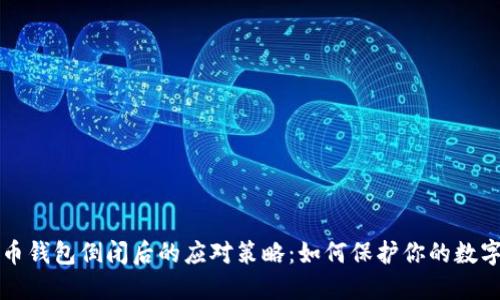 比特币钱包倒闭后的应对策略:如何保护你的数字资产