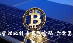 如何安全地管理比特币钱