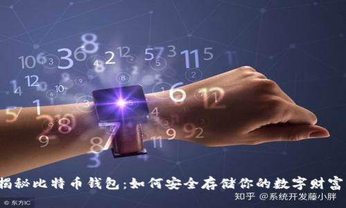 揭秘比特币钱包:如何安全存储你的数字财富?