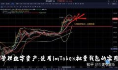 高效管理数字资产：使用