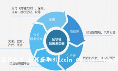 比特币在钱包里,如何获取Bitcoin Cash(BCH)的实用指南