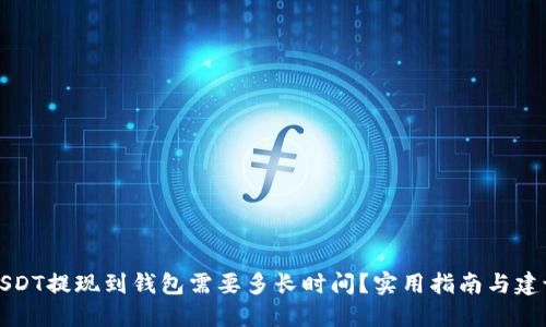 USDT提现到钱包需要多长时间?实用指南与建议