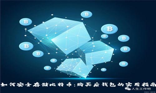 如何安全存储比特币:购买后钱包的实用指南