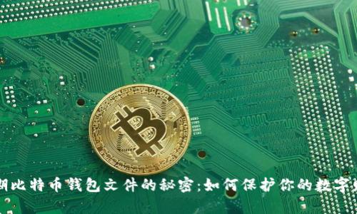 早期比特币钱包文件的秘密：如何保护你的数字财富
