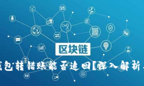 ImToken钱包转错账能否追回？深入解析与实用建议