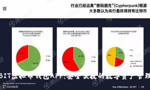 探索BIT虚拟币钱包APP：安全便捷的数字资产管理工具