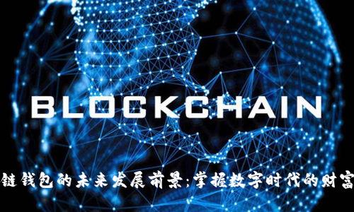 区块链钱包的未来发展前景:掌握数字时代的财富钥匙