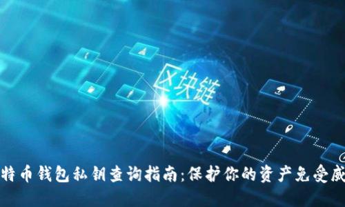 比特币钱包私钥查询指南：保护你的资产免受威胁