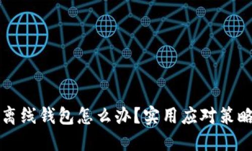 丢失虚拟币离线钱包怎么办?实用应对策略与心态调整