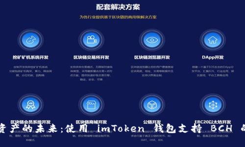 解锁数字资产的未来:使用 imToken 钱包支持 BCH 的全面指南