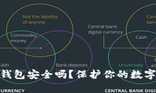WPS记录比特币钱包安全吗？保护你的数字资产的方法详解