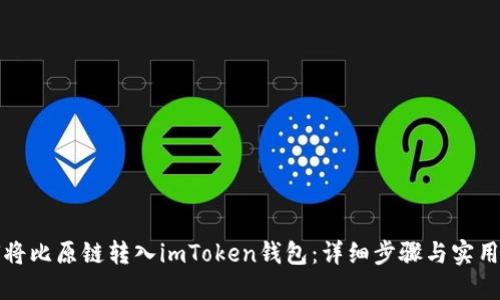 如何将比原链转入imToken钱包：详细步骤与实用技巧