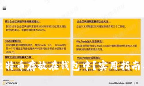 如何安全地将比特币存放在钱包中?实用指南与个人经验分享