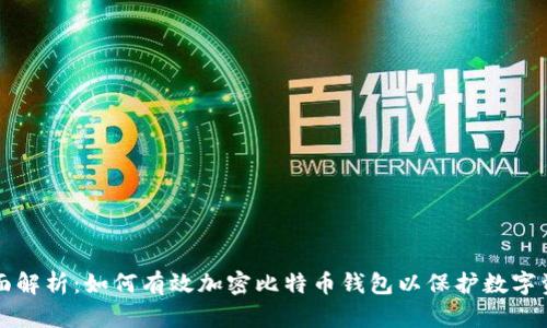全面解析:如何有效加密比特币钱包以保护数字资产