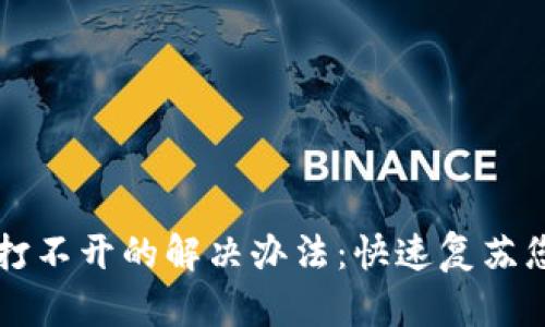 区块链钱包打不开的解决办法：快速复苏您的数字资产