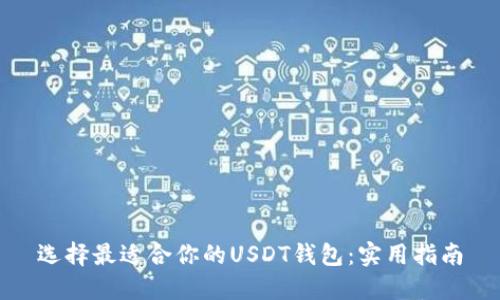 选择最适合你的USDT钱包：实用指南