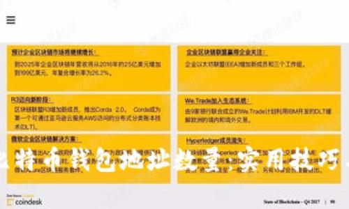 如何查看比特币钱包地址数量:实用技巧与深度解析