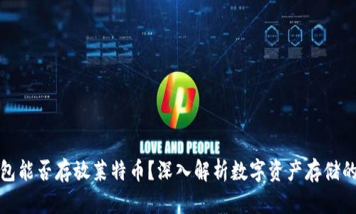 比特币钱包能否存放莱特币?深入解析数字资产存储的实用价值