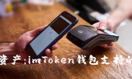掌握数字资产:imToken钱包支持的币种详解