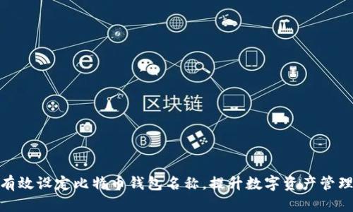 如何有效设定比特币钱包名称,提升数字资产管理体验