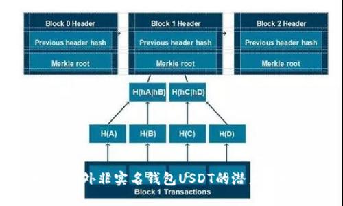 探索海外非实名钱包USDT的潜力与挑战