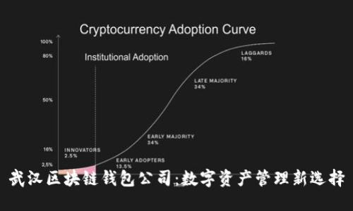 武汉区块链钱包公司:数字资产管理新选择