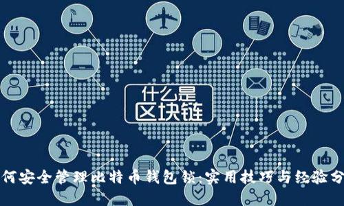 如何安全管理比特币钱包锁:实用技巧与经验分享