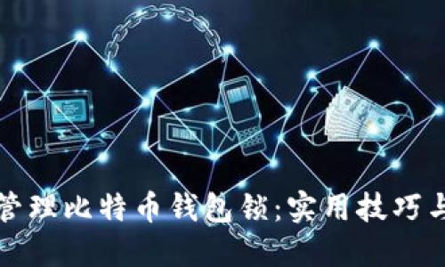 如何安全管理比特币钱包锁:实用技巧与经验分享