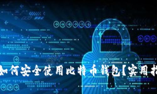 在国内如何安全使用比特币钱包？实用指南解析