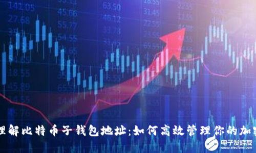深入理解比特币子钱包地址：如何高效管理你的加密资产