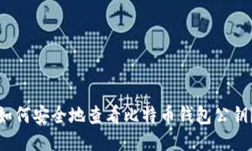 如何安全地查看比特币钱包公钥？