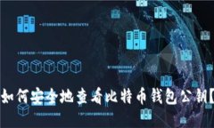 如何安全地查看比特币钱