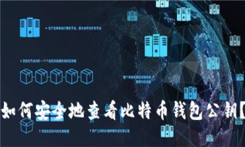 如何安全地查看比特币钱包公钥？