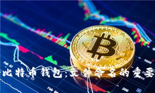 如何安全备份比特币钱包：文件命名的重要性与最佳实践