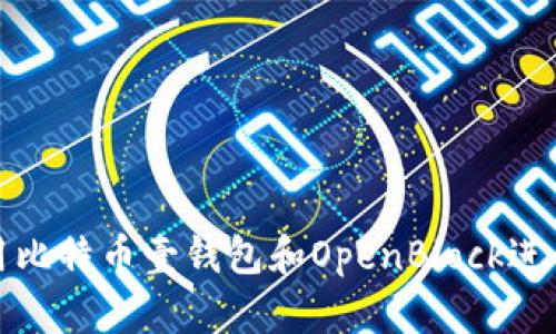如何有效地利用比特币壹钱包和OpenBlock进行数字资产管理