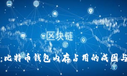 深入解析:比特币钱包内存占用的成因与实用价值