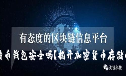 存比特币钱包安全吗?揭开加密货币存储的真相