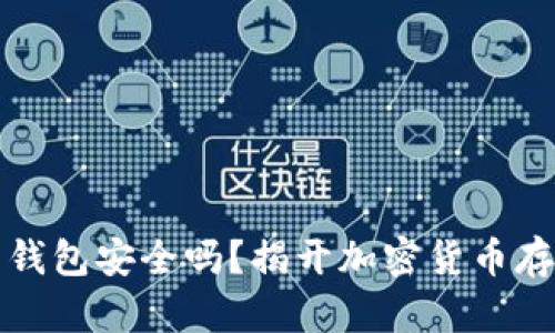 存比特币钱包安全吗?揭开加密货币存储的真相