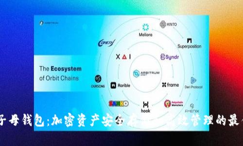 USDT子母钱包：加密资产安全存储和高效管理的最佳选择