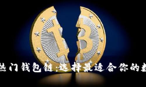 深度解析以太坊热门钱包链:选择最适合你的数字资产管理工具