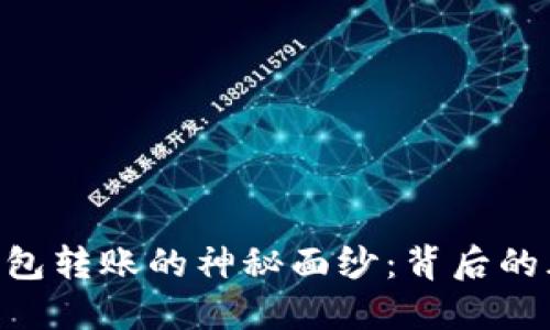 揭开imToken钱包转账的神秘面纱:背后的风险与防范措施