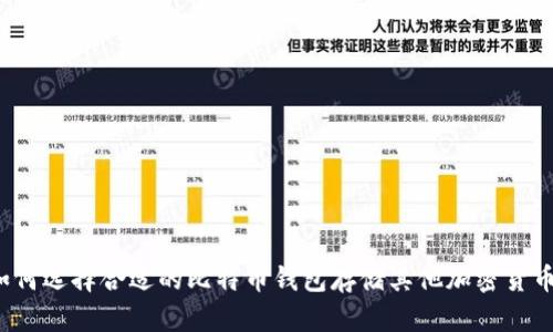 如何选择合适的比特币钱包存储其他加密货币？