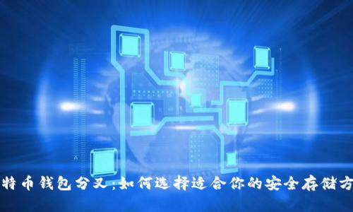 比特币钱包分叉：如何选择适合你的安全存储方案