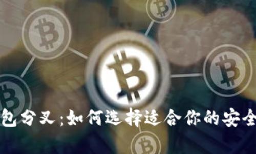 比特币钱包分叉：如何选择适合你的安全存储方案