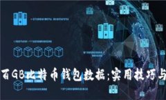 如何管理百GB比特币钱包数