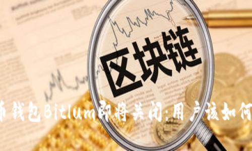 比特币钱包Bitlum即将关闭：用户该如何应对？