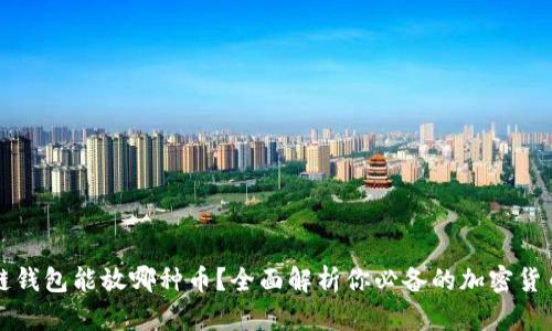 区块链钱包能放哪种币？全面解析你必备的加密货币知识
