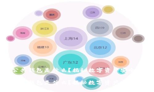 区块链公共钱包是什么？揭秘数字资产安全的新选择

区块链公共钱包是什么？揭秘数字资产安全的新选择